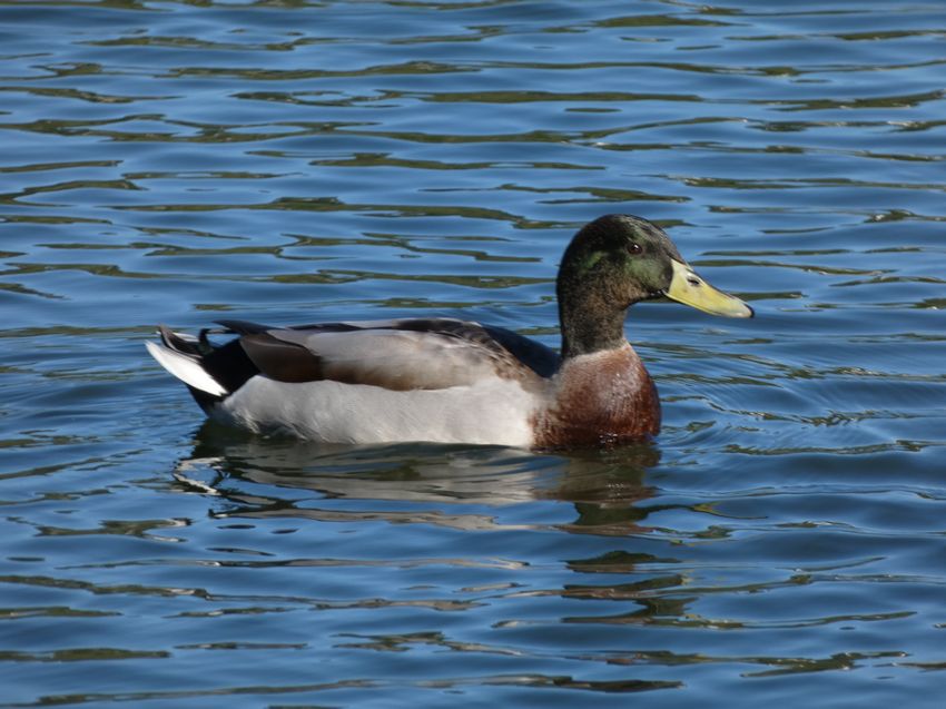 Click to see next picture