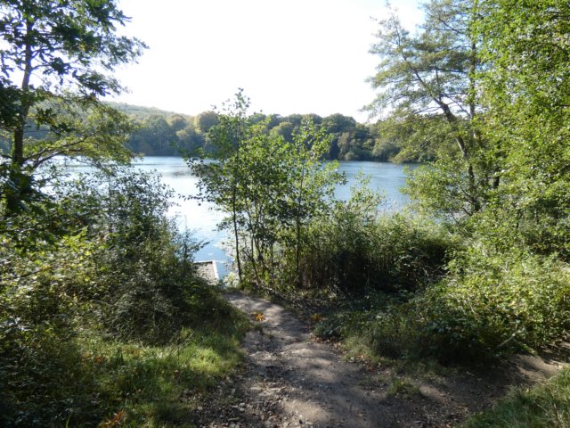 sideviewofthelake.jpg